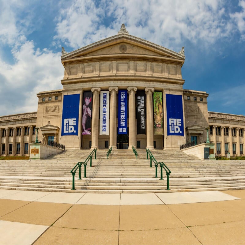 Guide to the Field Museum GoCity®